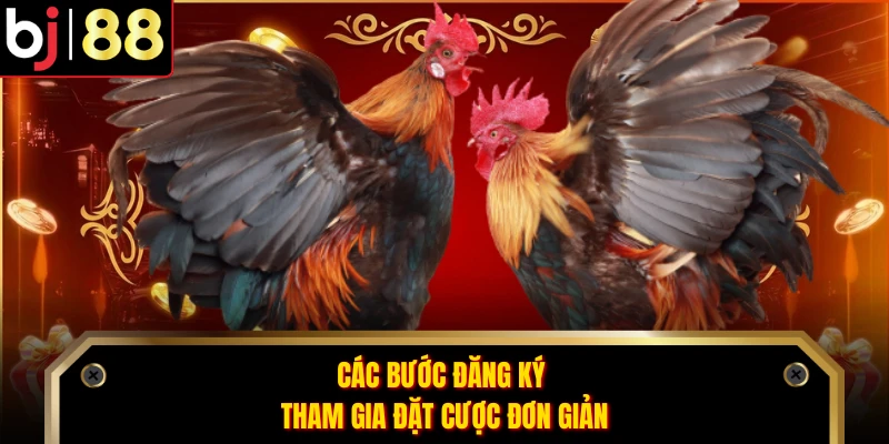 Các bước đăng ký tham gia đặt cược đơn giản