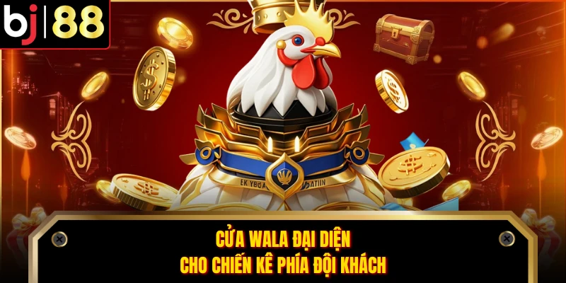 Cửa Wala đại diện cho chiến kê phía đội khách
