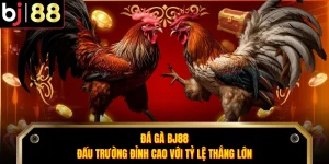 Đá Gà BJ88 - Đấu Trường Đỉnh Cao Với Tỷ Lệ Thắng Lớn