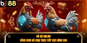 Đá Gà Online - Cách Xem Gà Chọi Trực Tiếp Cực Đỉnh Cao