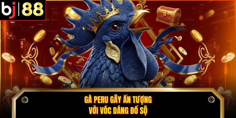 Gà Peru gây ấn tượng với vóc dáng đồ sộ