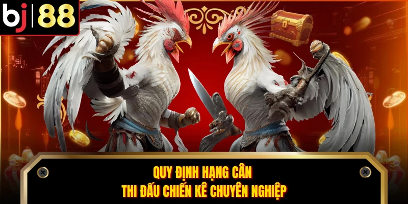 Quy định hạng cân thi đấu chiến kê chuyên nghiệp